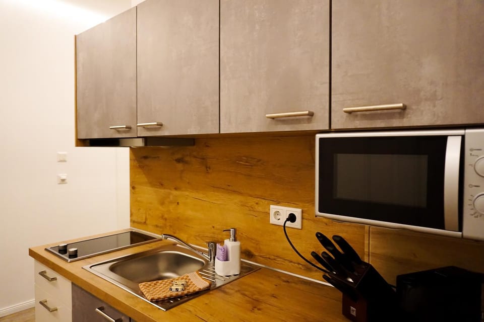Kitchen or kitchenette, minibar, pet friendly, stove, kitchen