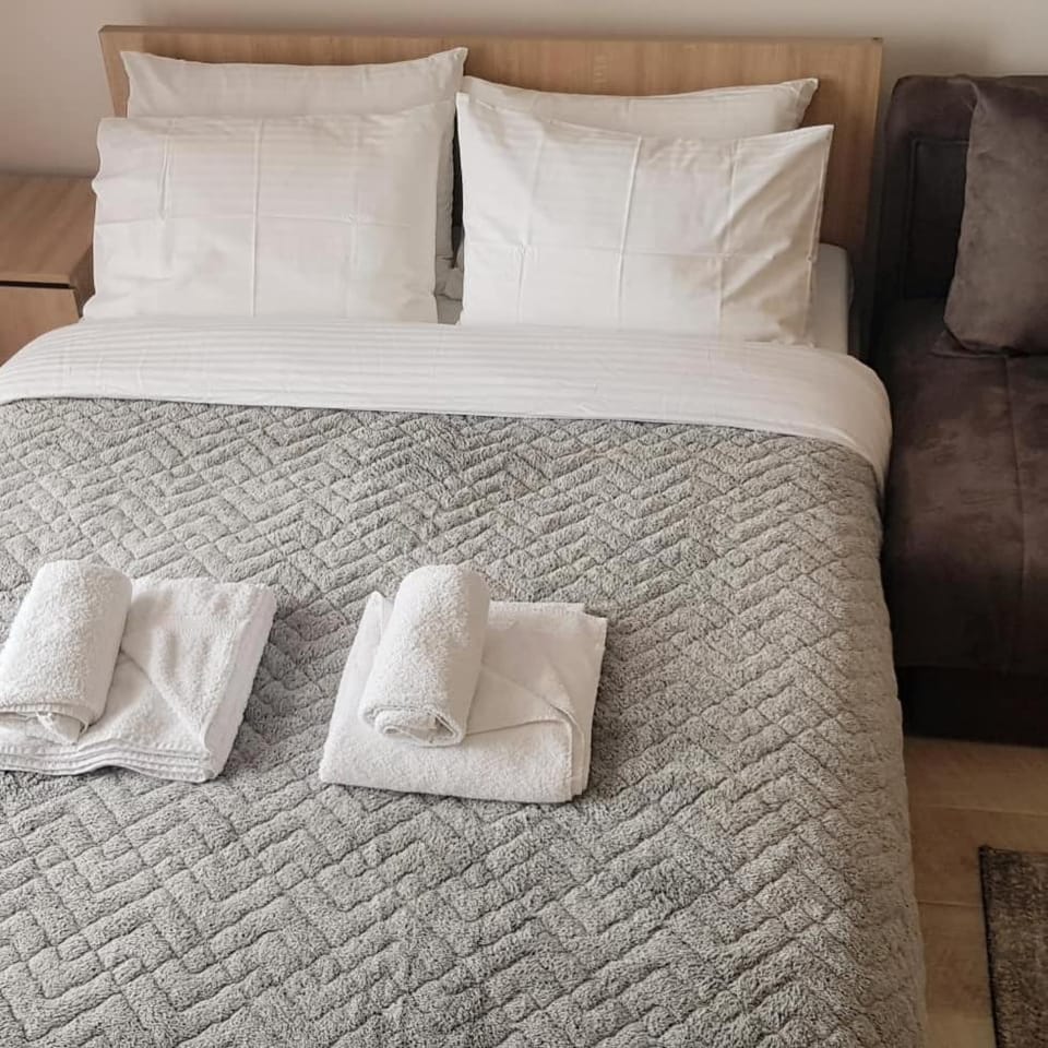 Milmari Resort Maša S6 Apartment in Serbia
