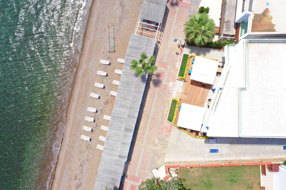 Spring, Day, Bird's eye view, Summer, Autumn, On site, Street view, Area and facilities