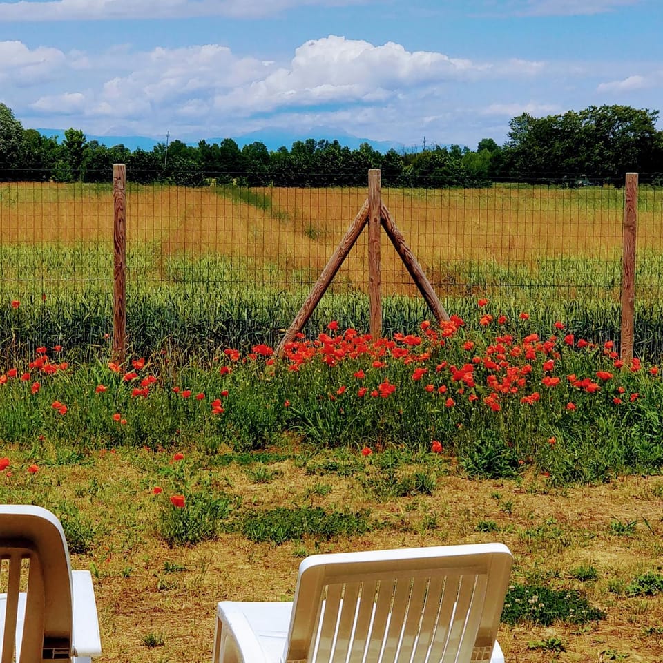Garden, Garden view