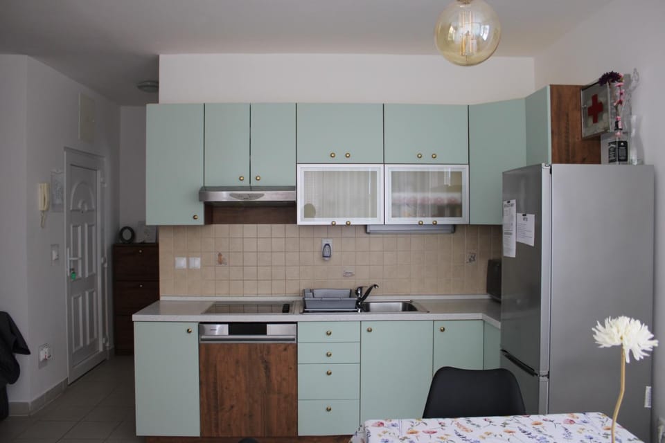 Kitchen or kitchenette, dishwasher, stove