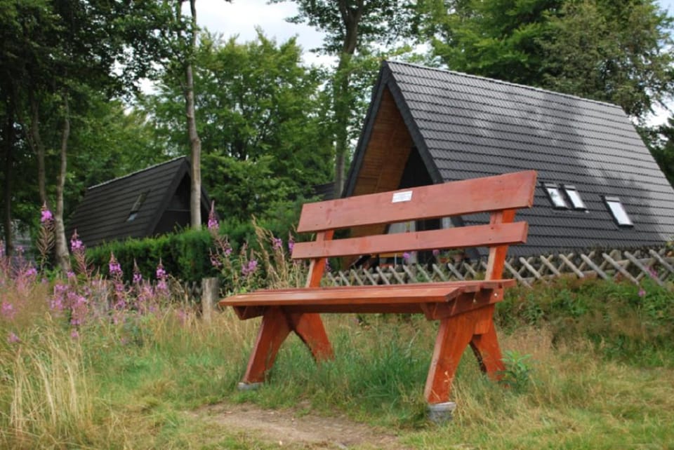 Ferienhaus Kamin Resort in Clausthal-Zellerfeld