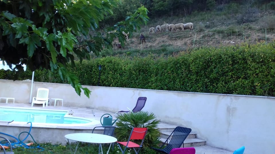 Pool view, Swimming pool, sunbed