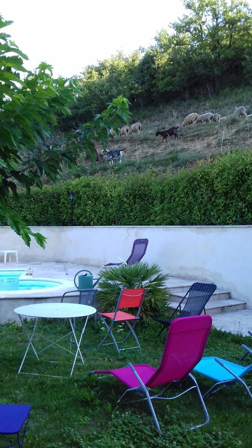Pool view, Swimming pool, sunbed
