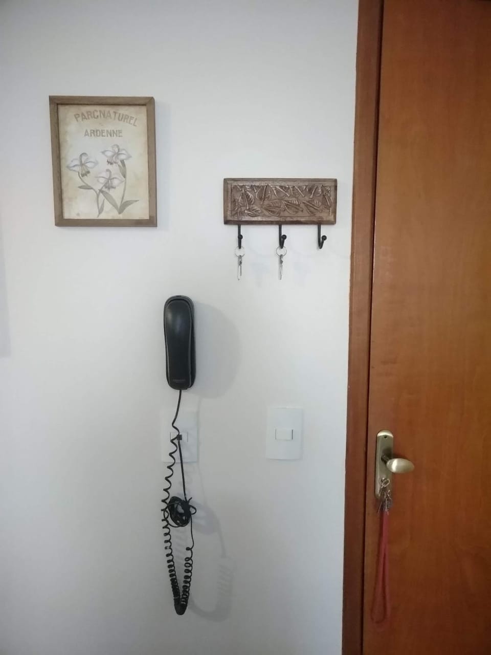 Ipê Rosa Apartamento Apartment in State of Goiás