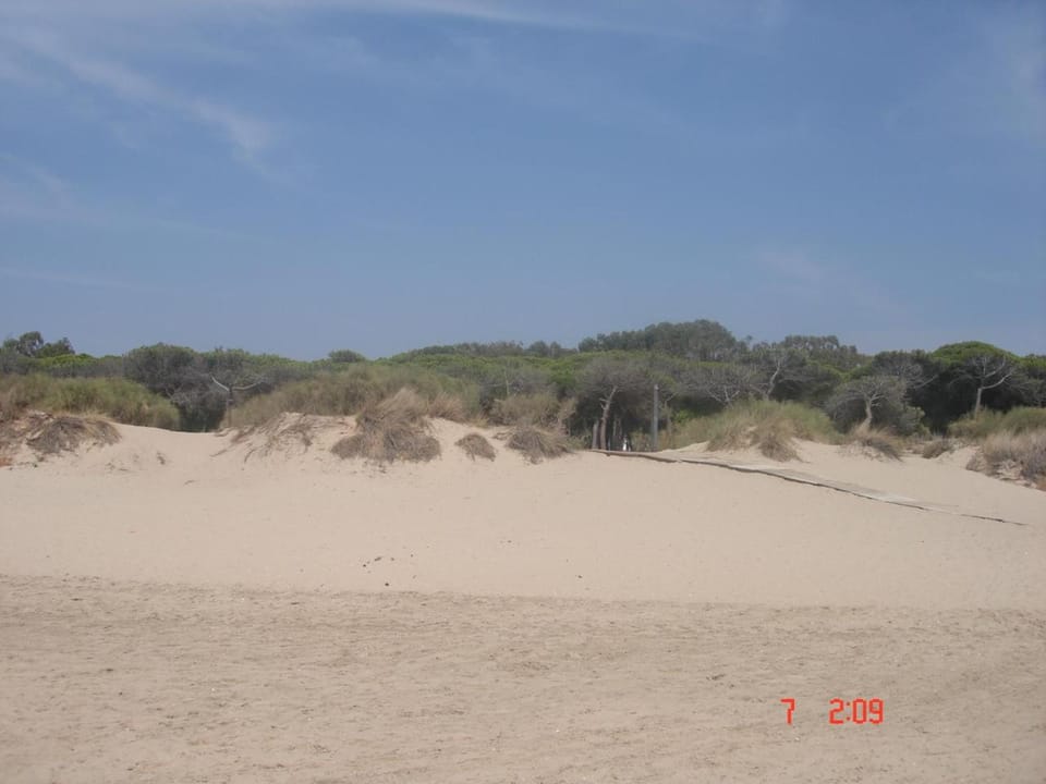 Natural landscape, Beach, Hiking