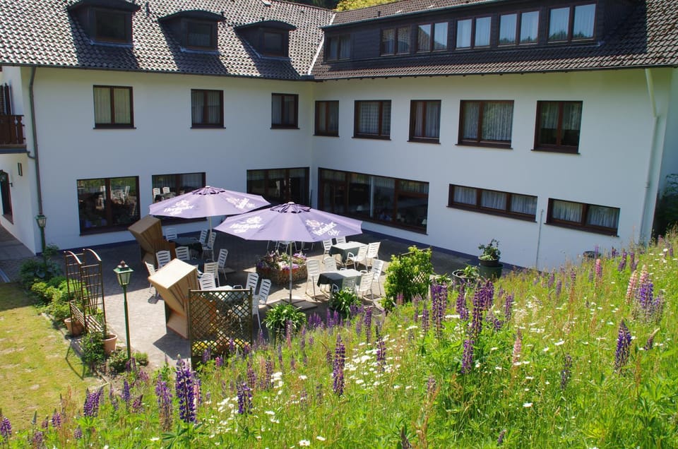 Property building, Garden view