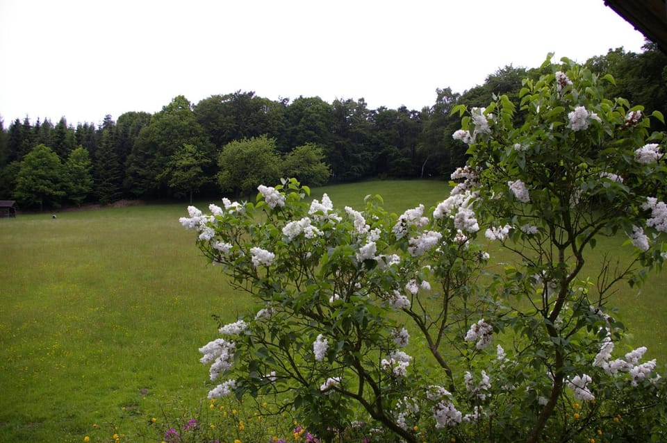 Natural landscape