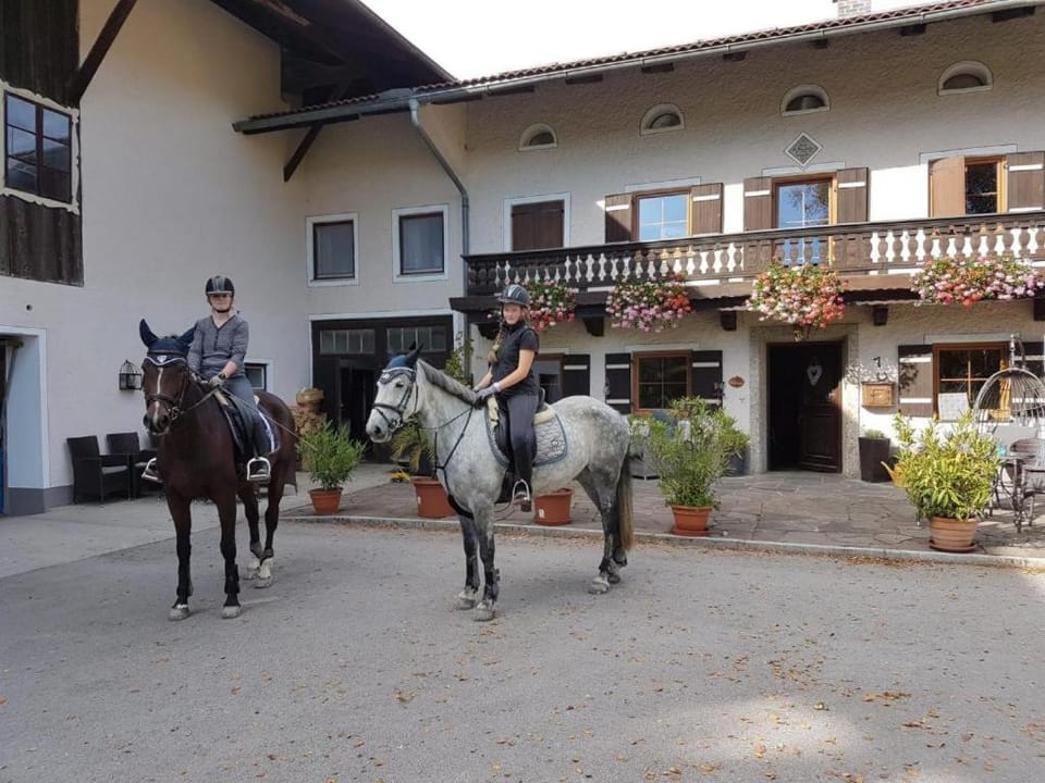 Am Valtlhof Apartment in Salzburgerland