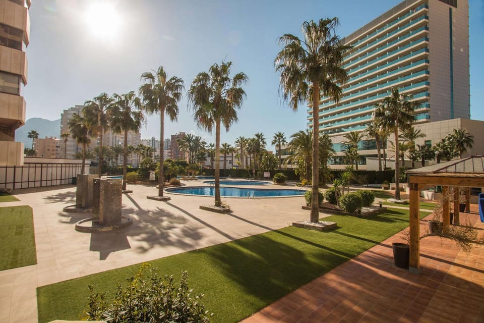 Patio, Garden, Garden view