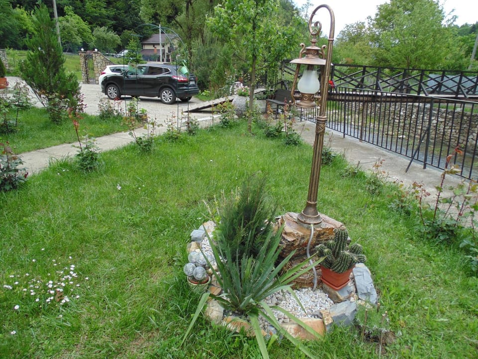 Natural landscape