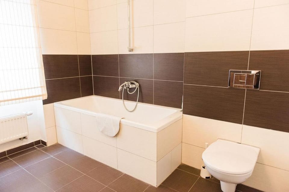 Lion Apartments in historical center, Bratislava Old Town Apartment in Bratislava