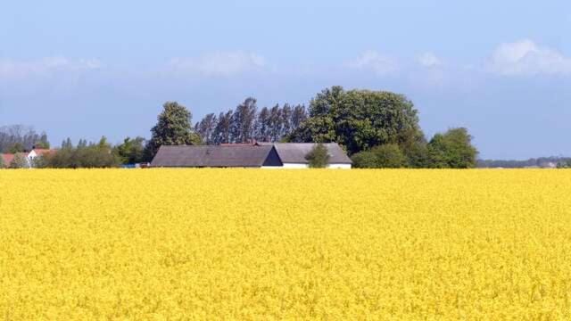 Hedmansgården Bed and Breakfast in Skåne County
