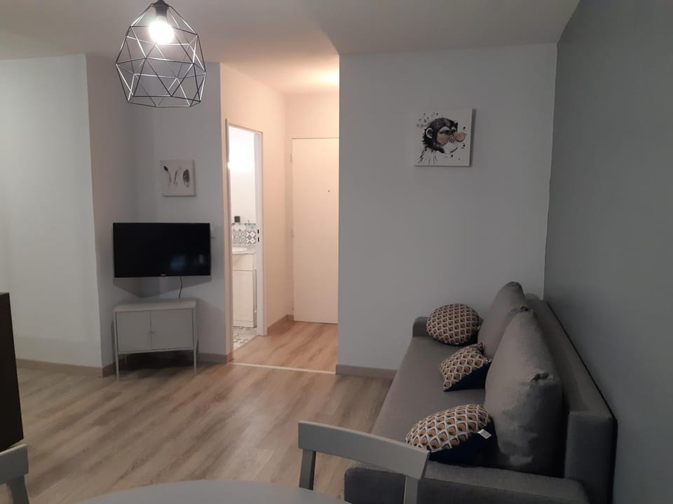 Le Chabin Apartment in Metz