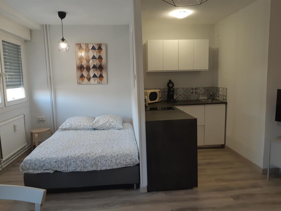 Le Chabin Apartment in Metz