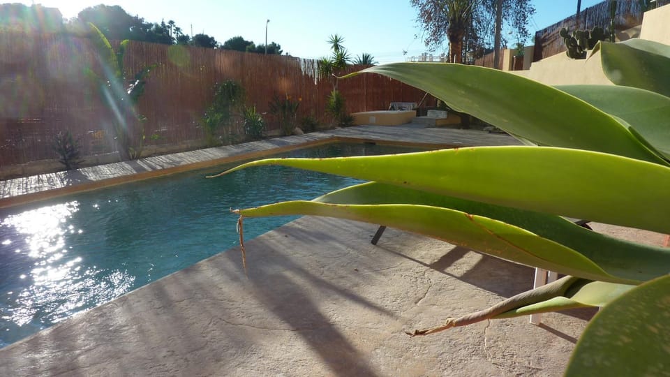 Swimming pool, Swimming pool
