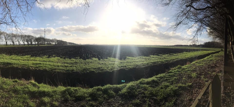 Natural landscape, View (from property/room)