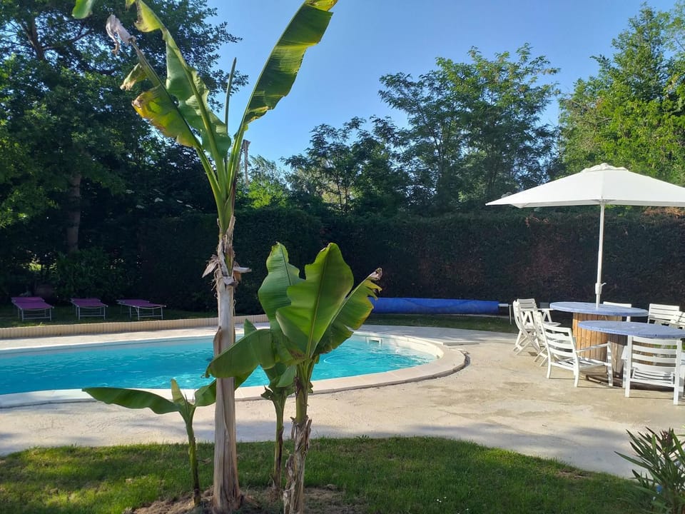 Balcony/Terrace, Swimming pool, Swimming pool