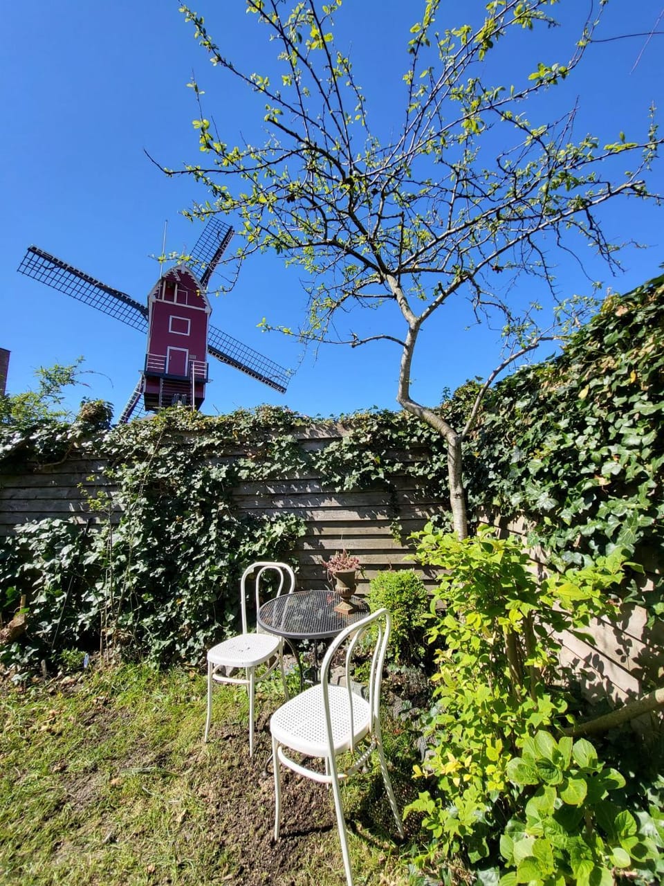 Garden, Garden view