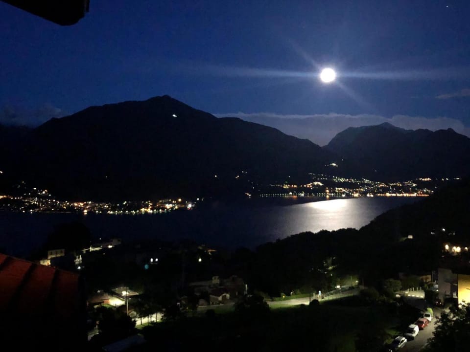 Bird's eye view, View (from property/room), View (from property/room)