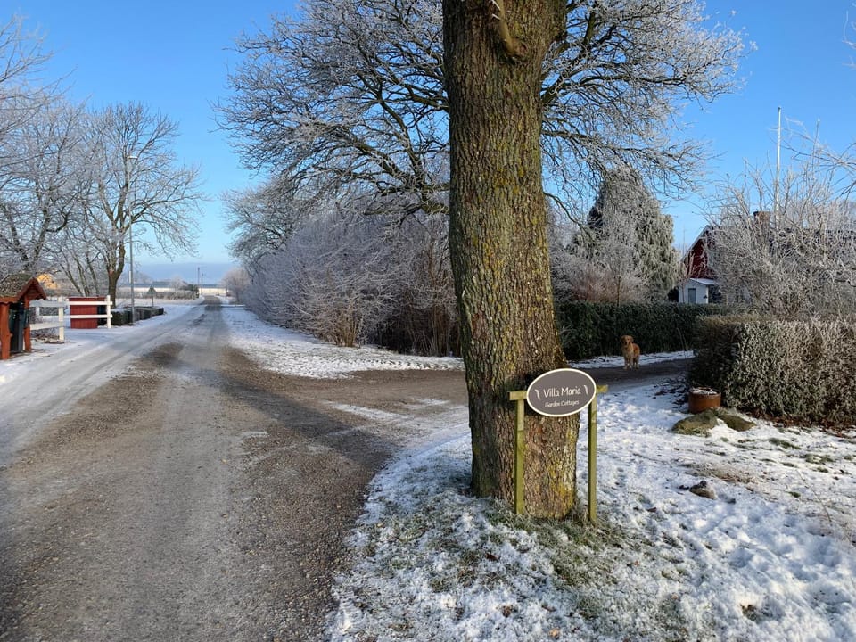 Quiet street view