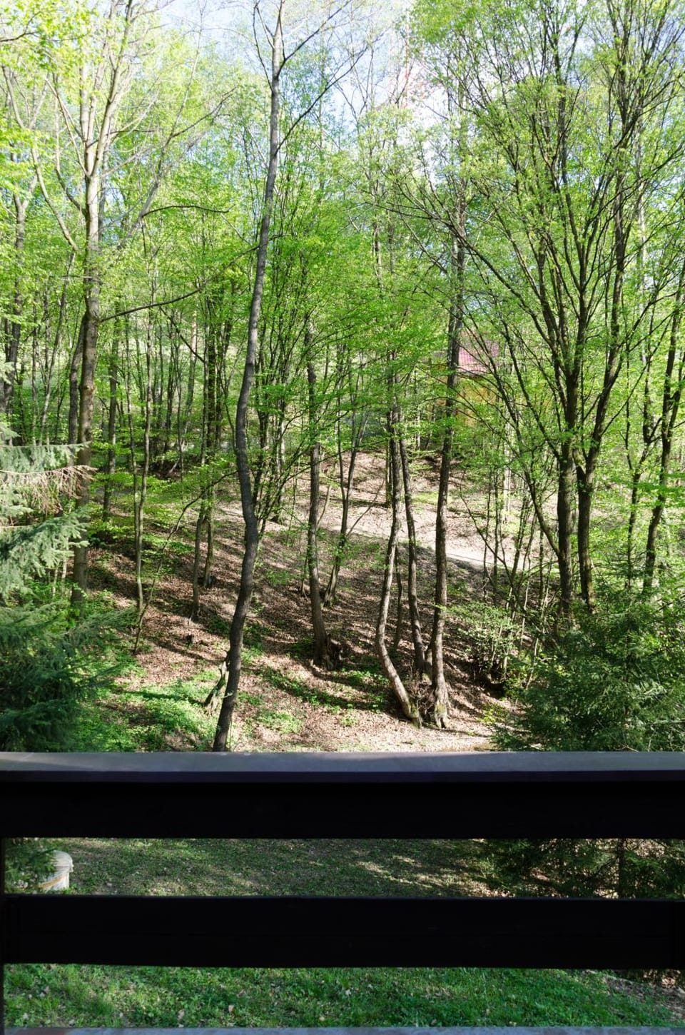 Landmark view