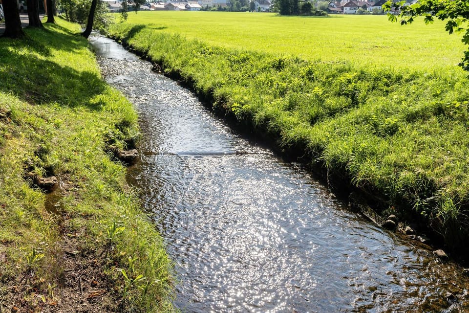 Natural landscape