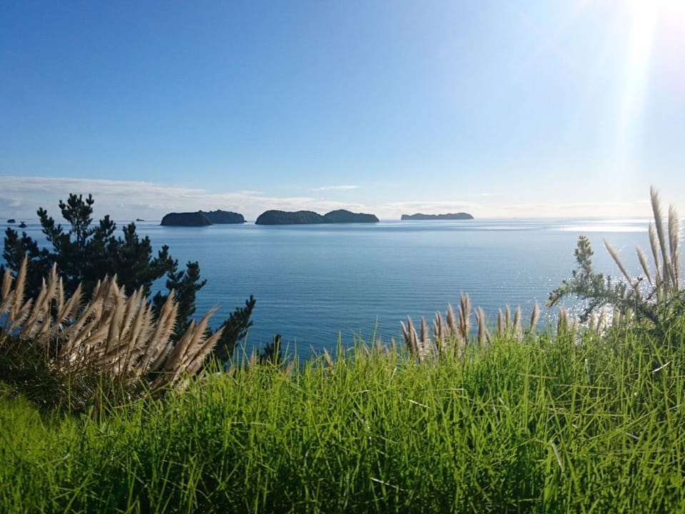 Sea view