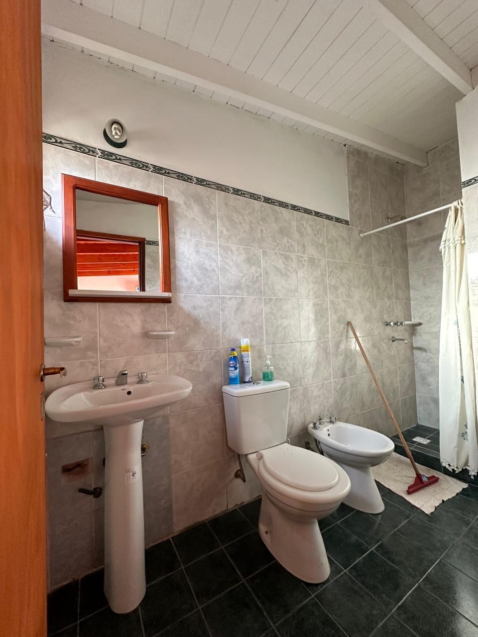 Shower, Toilet, Bathroom, bidet