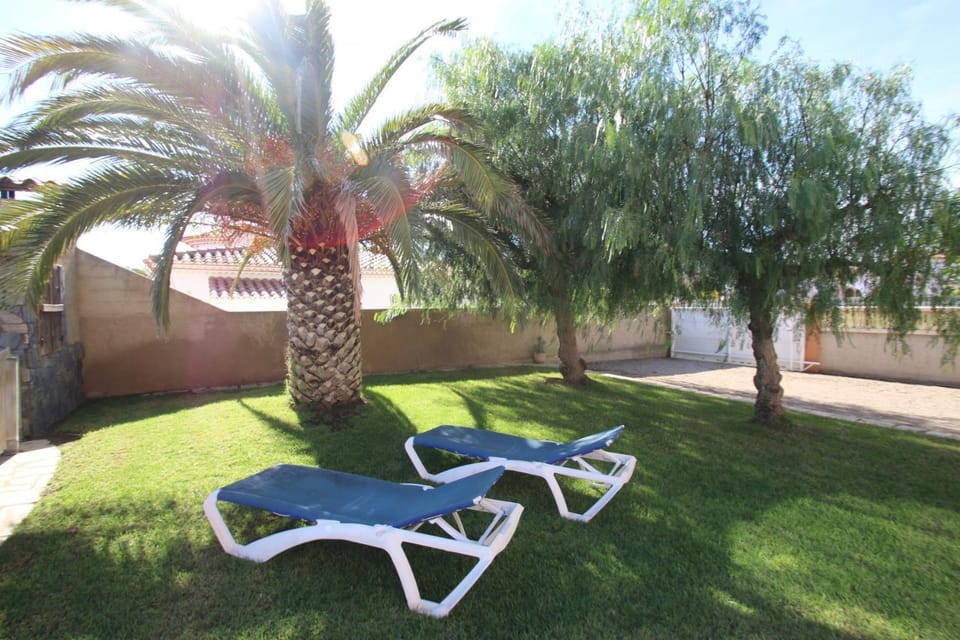 Patio, Garden, Garden view