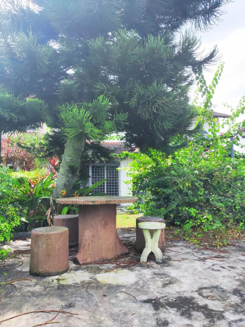 Patio, Garden