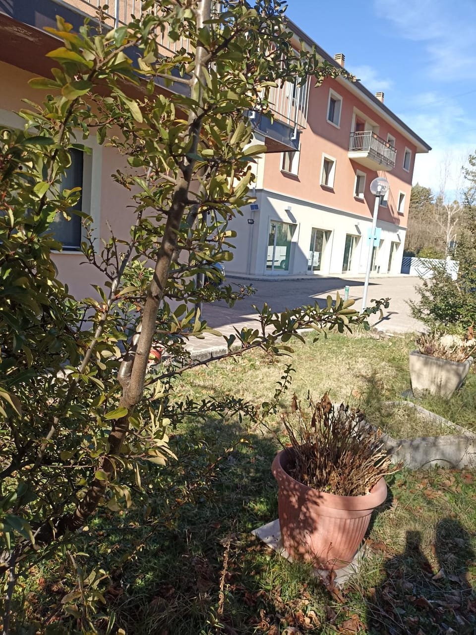 Garden, Garden view, Mountain view