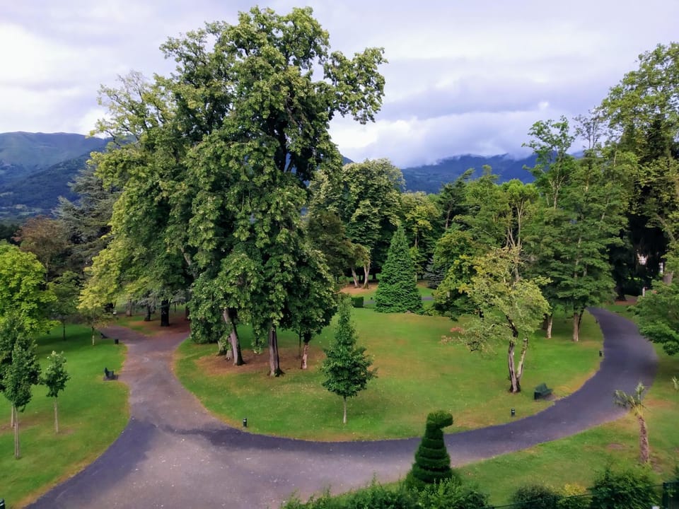 Mountain view