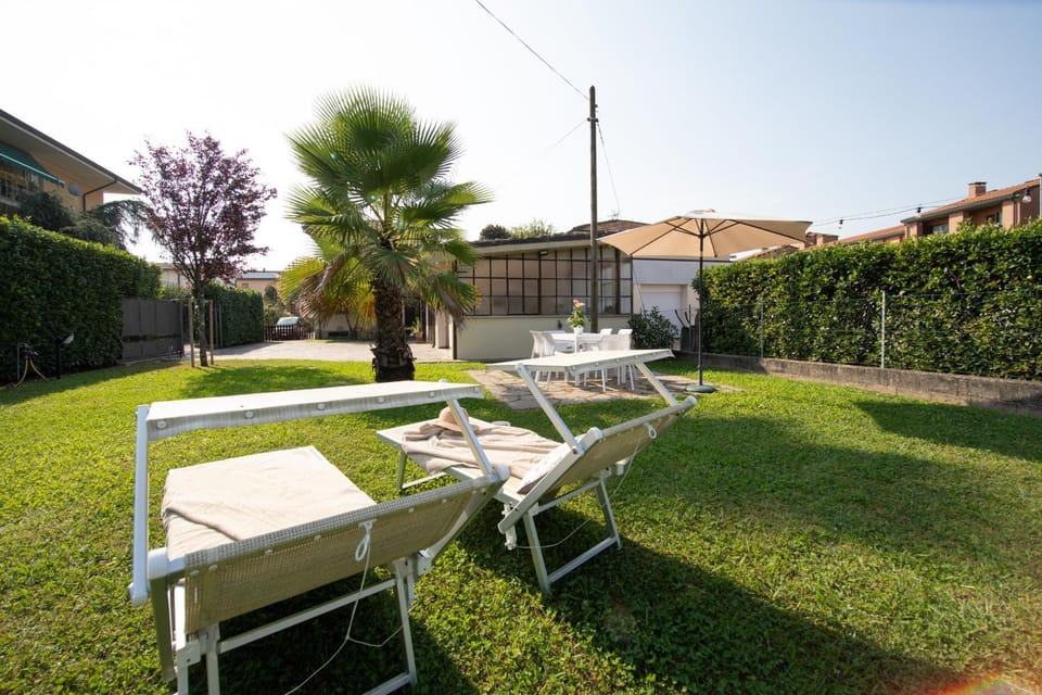 Patio, Garden, Garden view