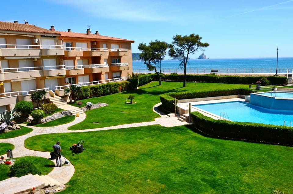 Patio, Garden, Garden view
