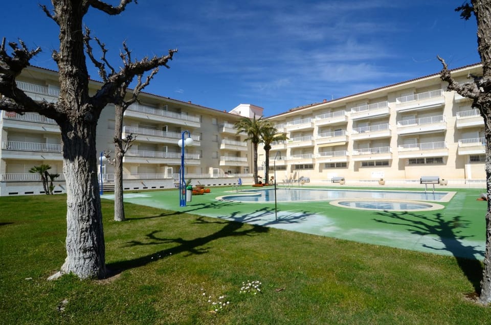 Patio, Garden, Garden view