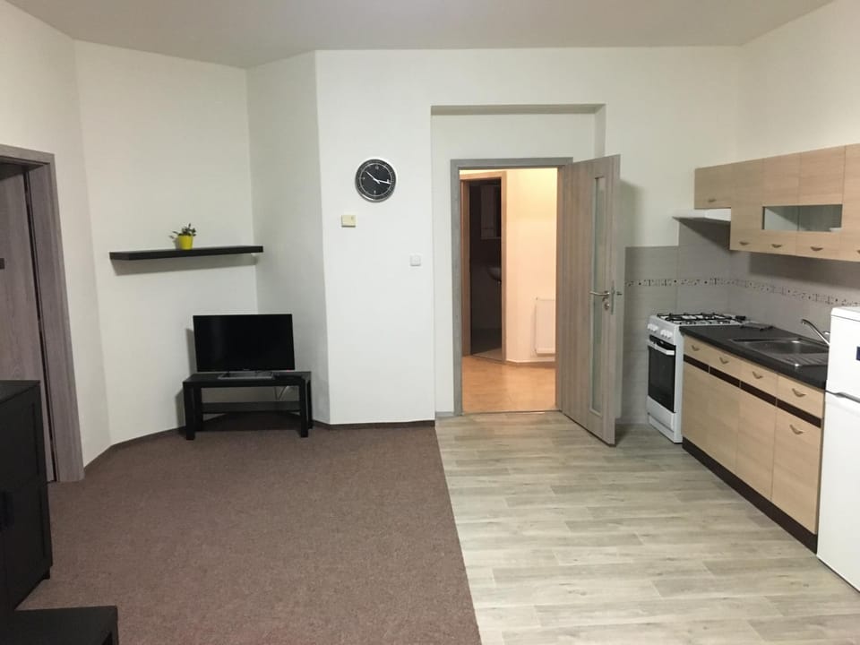 Apartmány U Muzea Apartment in Sächsische Schweiz-Osterzgebirge