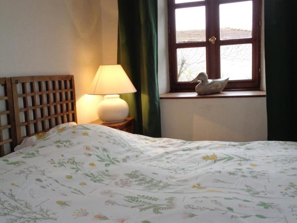 Charme Rural avec Piscine Privée et Animaux Acceptés - FR-1-496-200 House in Auvergne-Rhône-Alpes