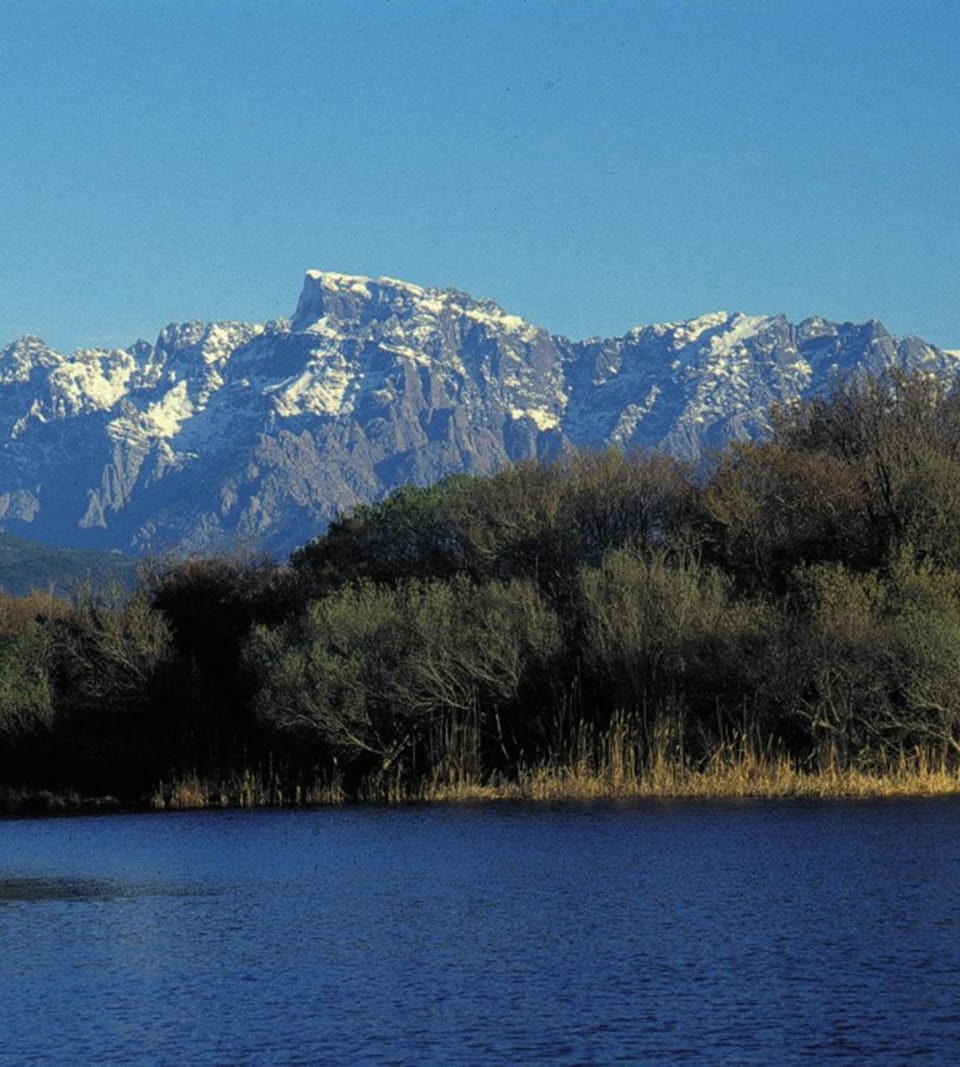 Mountain view