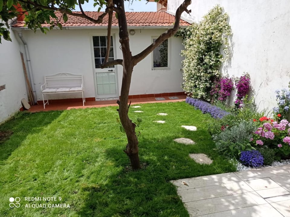 Citrus Hideaway - Your house in Viareggio House in Viareggio