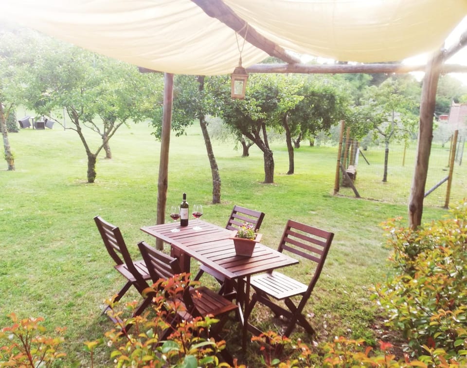 Garden, Garden, Dining area, Garden view