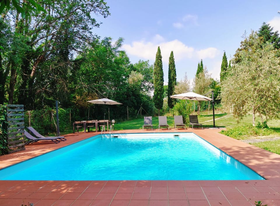 Pool view, Swimming pool, sunbed