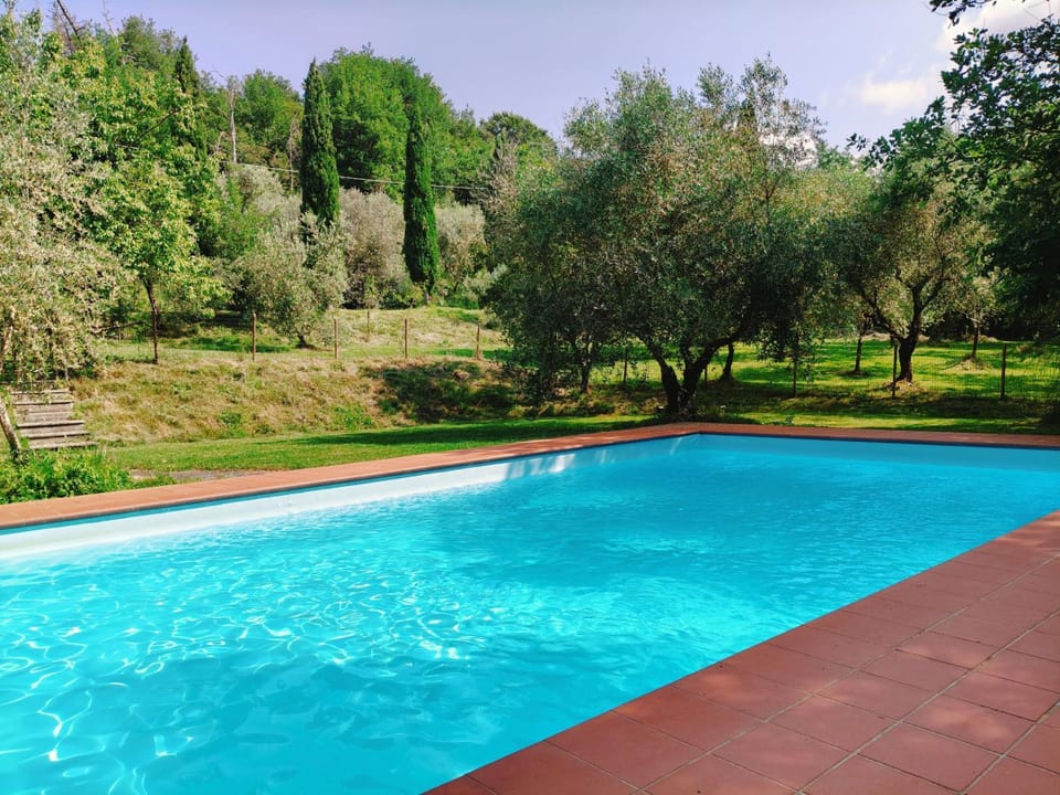 Garden, Pool view, Swimming pool