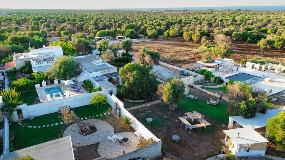 Bird's eye view, Location