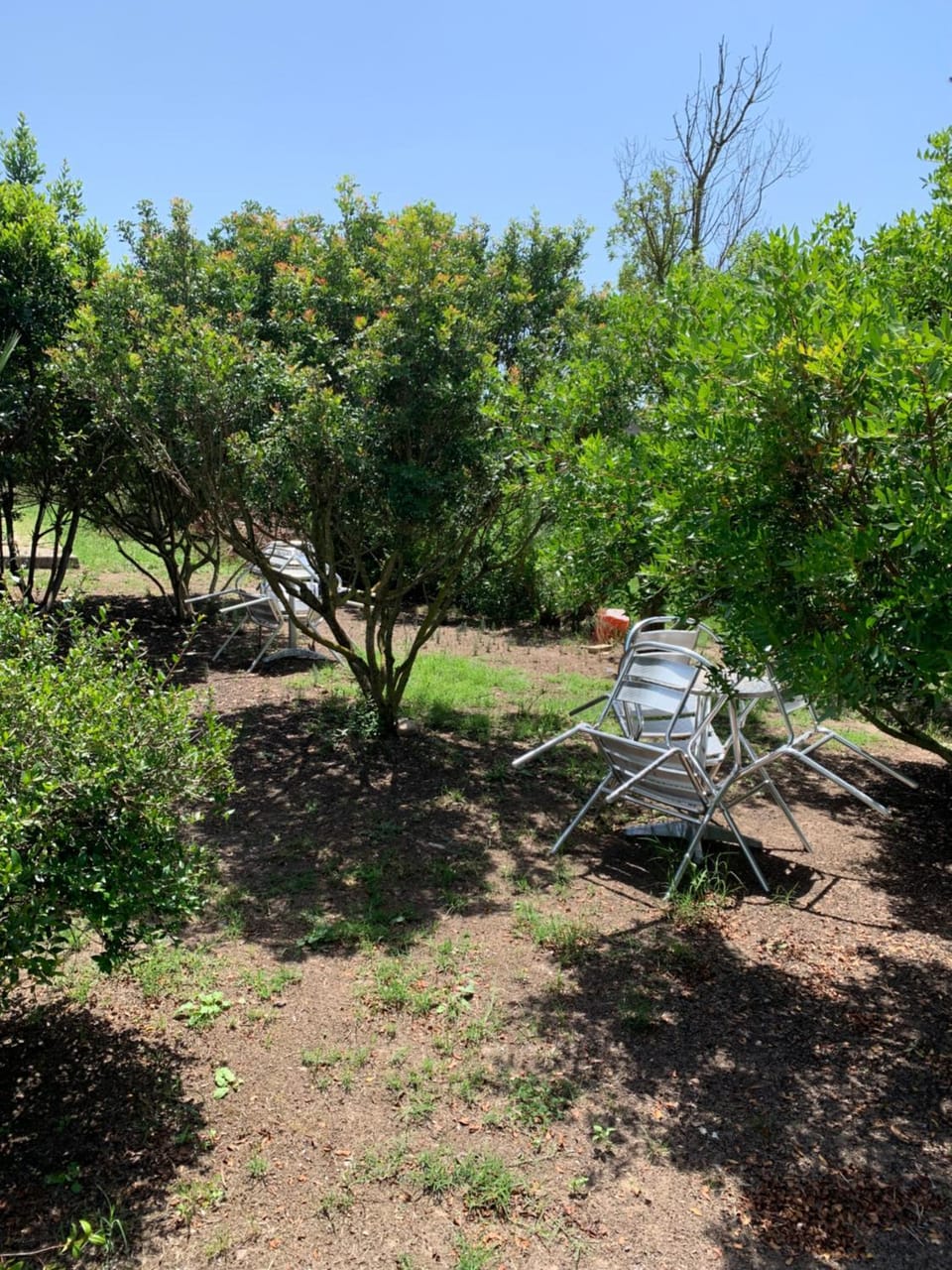 Agriturismo Da Patrizia Farm Stay in Sardinia