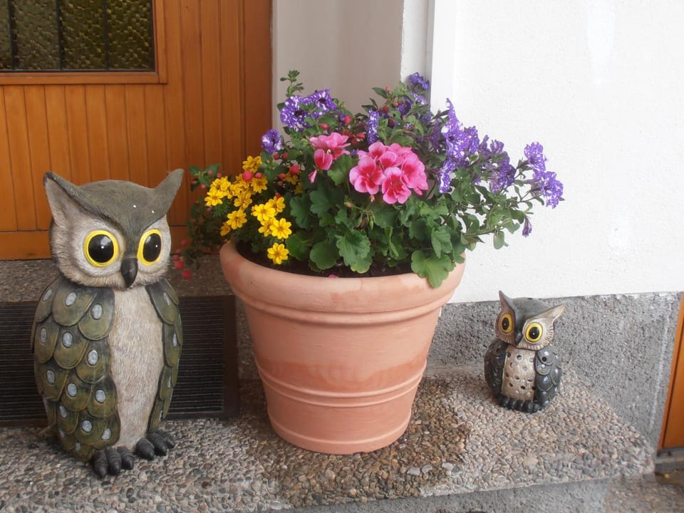 Landhaus-Königsberg, Vorberg 360 Ebengütlweg Apartment in Schladming