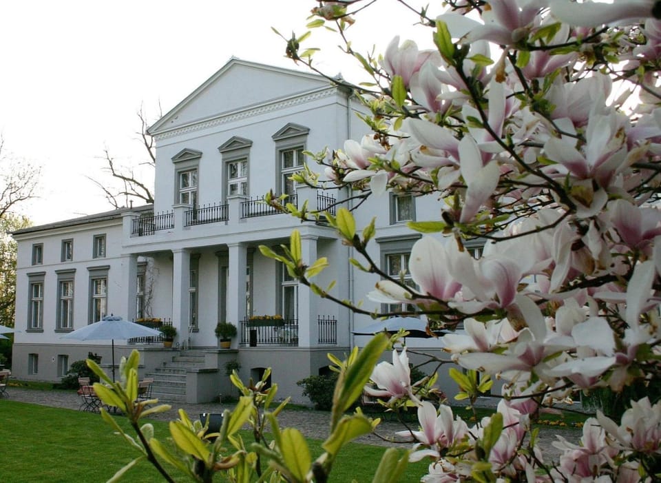Property building, Spring, Garden