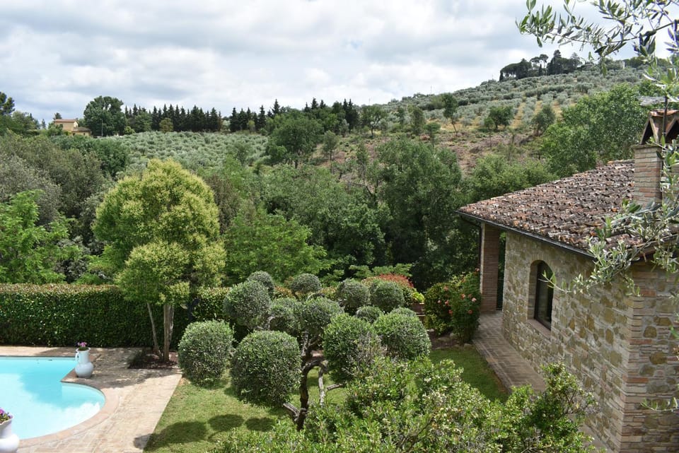 Garden view