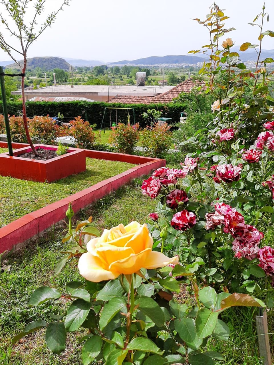 Garden view