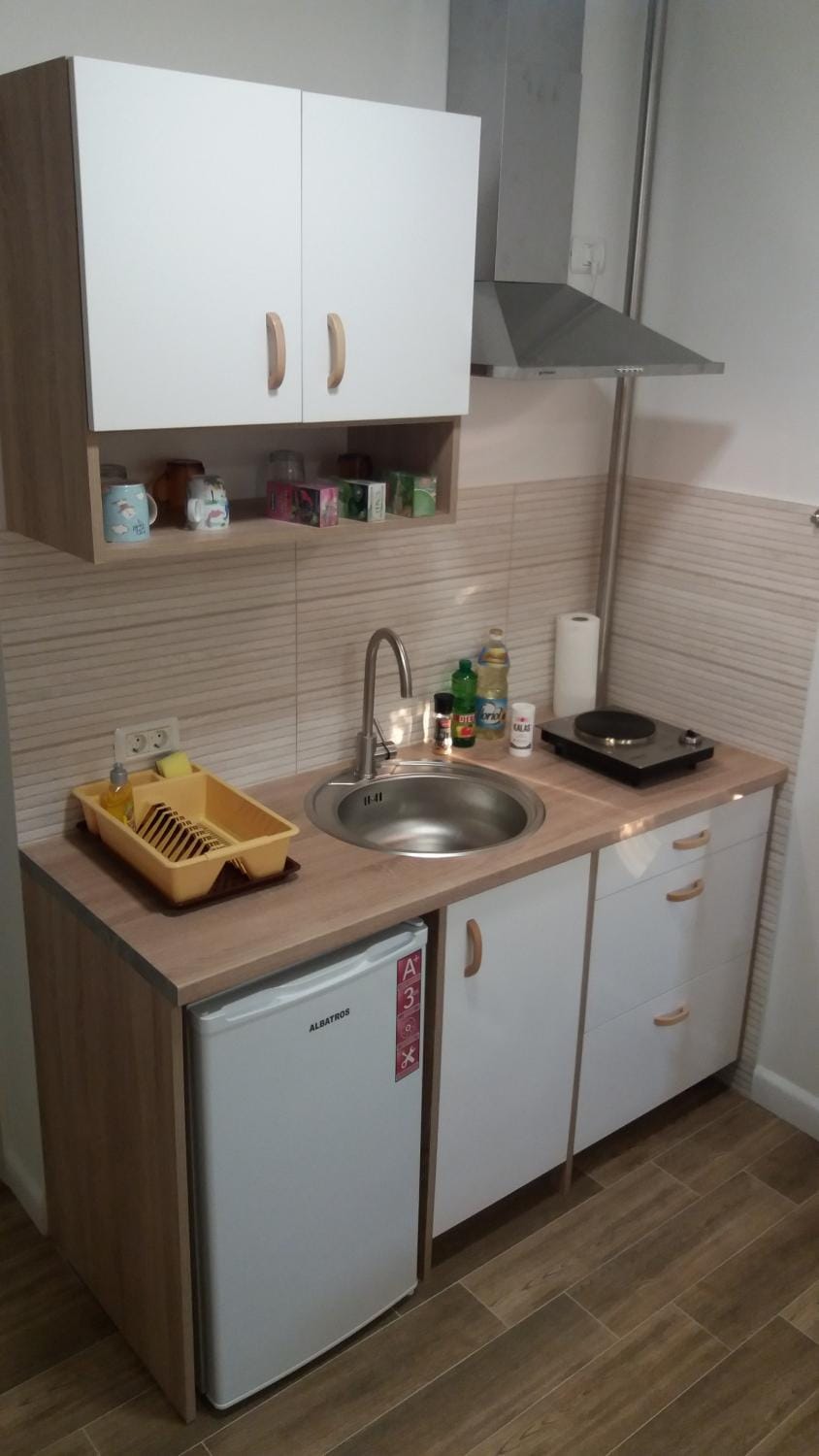 Single Suite Apartment Apartment in Timisoara
